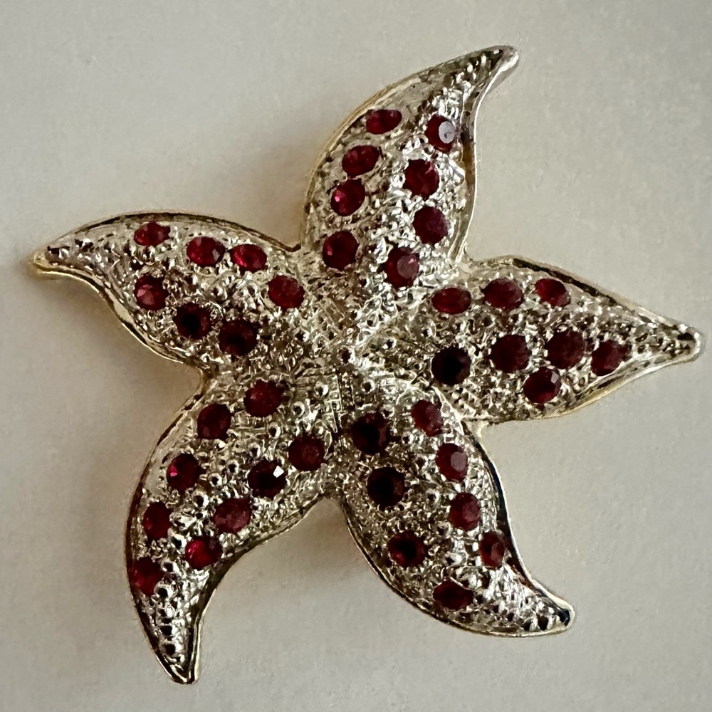 Starfish pin